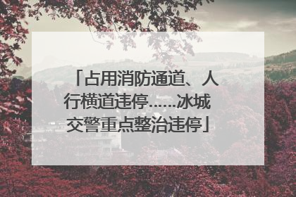 占用消防通道、人行横道违停……冰城交警重点整治违停