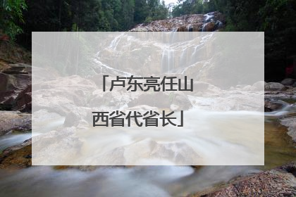 卢东亮任山西省代省长