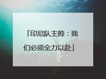 印尼队主帅：我们必须全力以赴