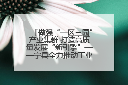 做强“一区三园”产业集群 打造高质量发展“新引擎”——宁县全力推动工业经济提质增效