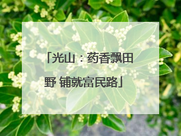 光山：药香飘田野 铺就富民路