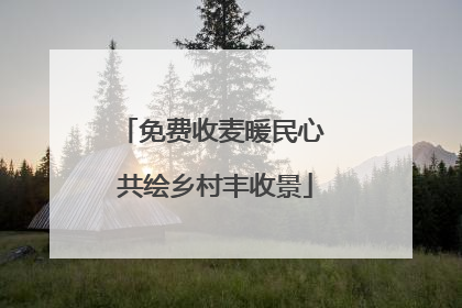 免费收麦暖民心 共绘乡村丰收景