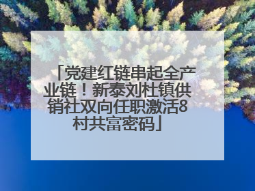 党建红链串起全产业链！新泰刘杜镇供销社双向任职激活8村共富密码
