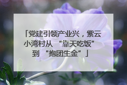 党建引领产业兴，紫云小湾村从 “靠天吃饭” 到 “抱团生金”