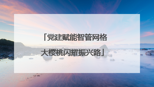 党建赋能智管网格 大樱桃闪耀振兴路