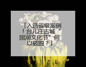 入选省级案例！台儿庄古城“国潮文化节”何以破圈？