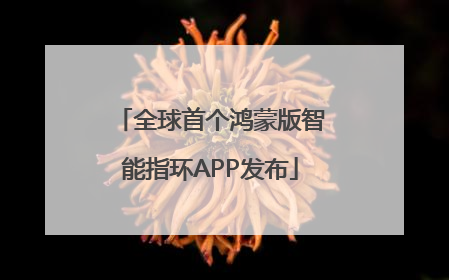 全球首个鸿蒙版智能指环APP发布