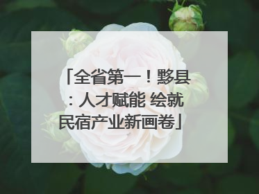 全省第一！黟县：人才赋能 绘就民宿产业新画卷