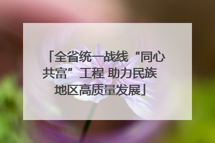 全省统一战线“同心共富”工程 助力民族地区高质量发展