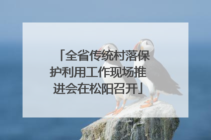全省传统村落保护利用工作现场推进会在松阳召开