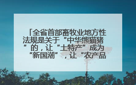 全省首部畜牧业地方性法规是关于“中华熊猫猪”的，让“土特产”成为“新国潮”，让“农产品”升格为“城市IP”