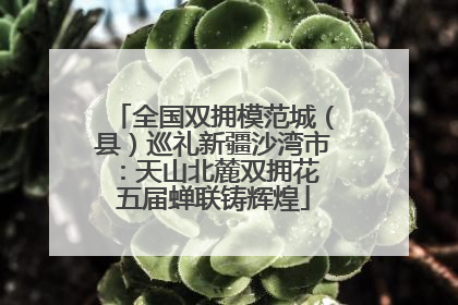 全国双拥模范城（县）巡礼新疆沙湾市：天山北麓双拥花 五届蝉联铸辉煌
