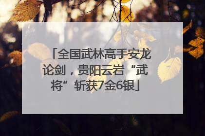全国武林高手安龙论剑，贵阳云岩“武将”斩获7金6银
