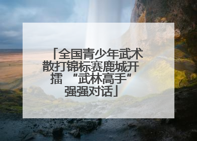 全国青少年武术散打锦标赛鹿城开擂 “武林高手”强强对话