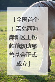 全国首个！青岛西海岸新区工伤超前救助慈善基金正式成立