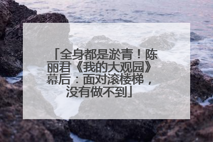 全身都是淤青！陈丽君《我的大观园》幕后：面对滚楼梯，没有做不到