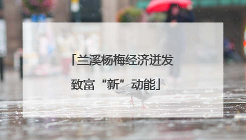 兰溪杨梅经济迸发致富“新”动能