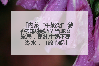 内蒙“牛奶湖”游客排队接奶？当地文旅局：是纯牛奶不是湖水，可放心喝