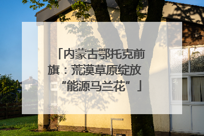内蒙古鄂托克前旗：荒漠草原绽放“能源马兰花”