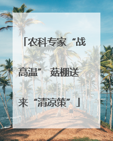 农科专家“战高温” 菇棚送来“清凉策”