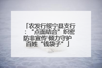 农发行绥宁县支行：“点面结合”织密防非宣传 倾力守护百姓“钱袋子”