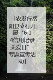 农发行岳阳县支行开展“6·14信用记录关爱日” 专题宣传活动