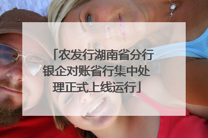农发行湖南省分行银企对账省行集中处理正式上线运行