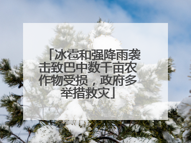 冰雹和强降雨袭击致巴中数千亩农作物受损，政府多举措救灾