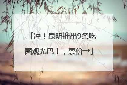 冲！昆明推出9条吃菌观光巴士，票价→