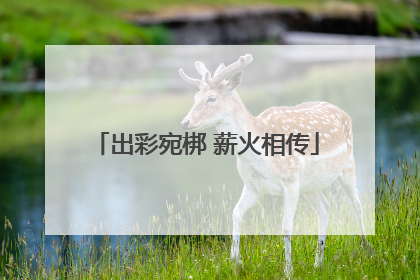 出彩宛梆 薪火相传