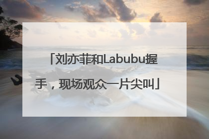 刘亦菲和Labubu握手，现场观众一片尖叫