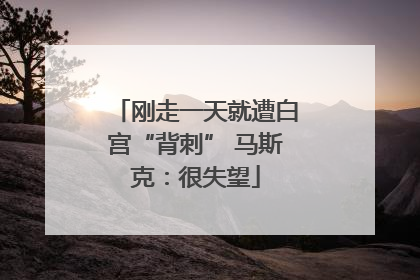 刚走一天就遭白宫“背刺” 马斯克：很失望