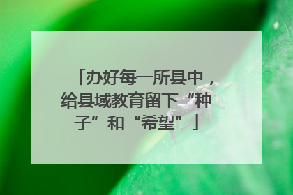 办好每一所县中，给县域教育留下“种子”和“希望”