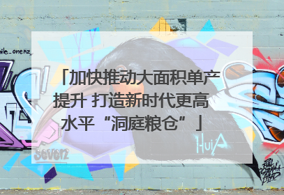 加快推动大面积单产提升 打造新时代更高水平“洞庭粮仓”