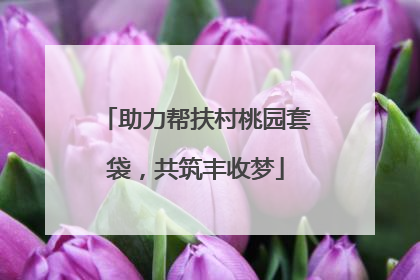 助力帮扶村桃园套袋，共筑丰收梦