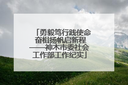 勇毅笃行践使命 奋楫扬帆启新程——神木市委社会工作部工作纪实