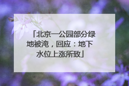 北京一公园部分绿地被淹，回应：地下水位上涨所致
