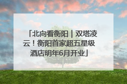 北向看衡阳｜双塔凌云！衡阳首家超五星级酒店明年6月开业