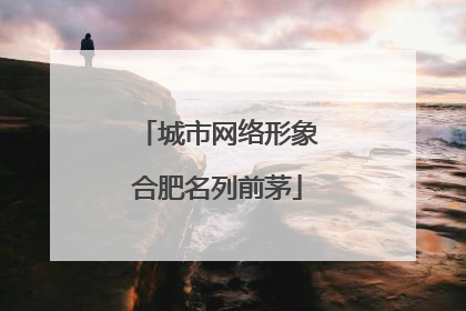城市网络形象合肥名列前茅