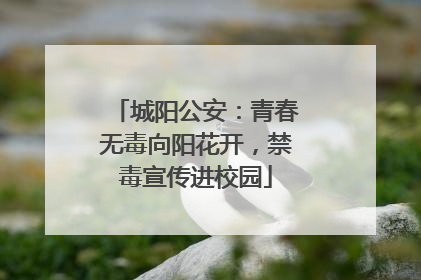 城阳公安：青春无毒向阳花开，禁毒宣传进校园
