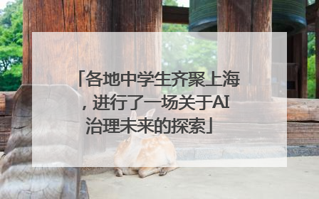 各地中学生齐聚上海，进行了一场关于AI治理未来的探索