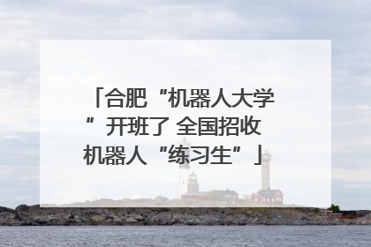 合肥“机器人大学”开班了 全国招收机器人“练习生”