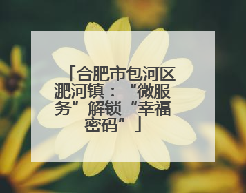合肥市包河区淝河镇：“微服务”解锁“幸福密码”