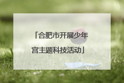 合肥市开展少年宫主题科技活动