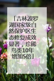 吉林波罗湖国家级自然保护区生态修复成效显著，珍稀鸟类10年增加5倍