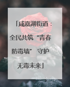 咸嘉湖街道：全民共筑“青春防毒墙” 守护无毒未来