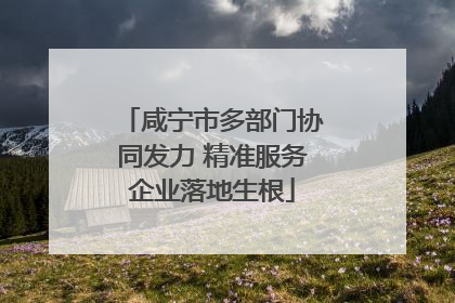 咸宁市多部门协同发力 精准服务企业落地生根