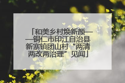 和美乡村焕新颜——铜仁市印江自治县新寨镇团山村“两清两改两治理”见闻
