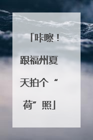 咔嚓！跟福州夏天拍个“荷”照