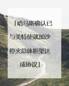 哈马斯确认已与美特使就加沙停火总体框架达成协议